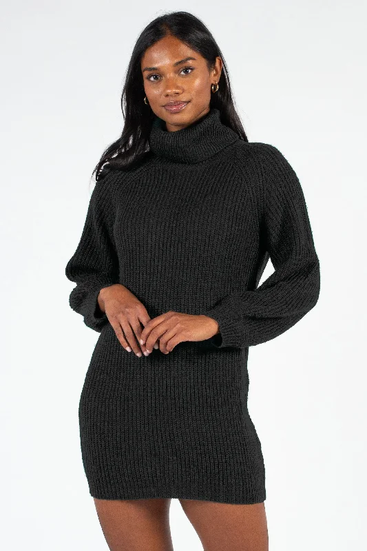 Juliet Turtleneck Sweater Dress Practical Women's Multi - 